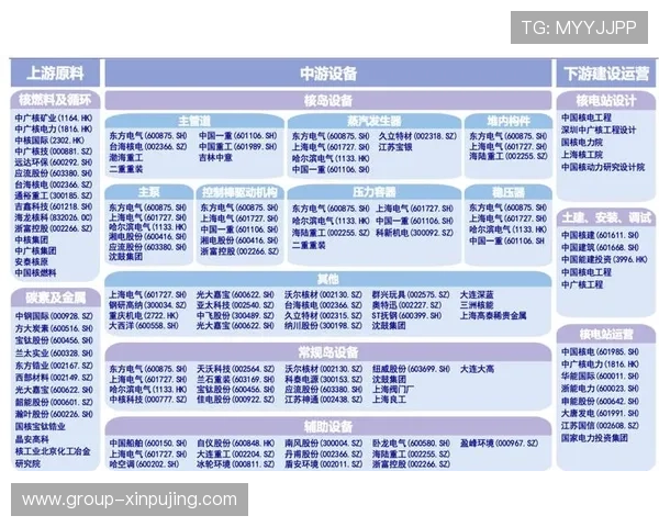 西班牙最新动态：社会经济与国际事务发展全景解析